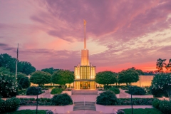 Atlanta Tropical Sunset