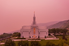 Bountiful Hazy Dusk