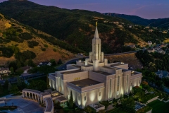 Bountiful Dusk Portrait