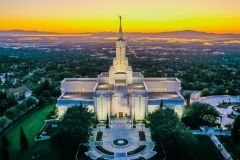 Bountiful Golden Hour