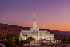 Bounitful Golden Hour Sunset