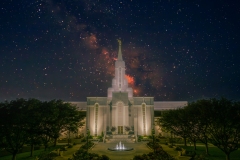 Bountiful Starry Night