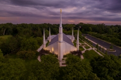 Chicago Forest Surroundings