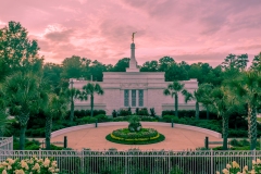 Columbia Paradisiacal Glory