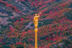 Draper Fall Colours