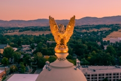 Idaho Capitol Eagle