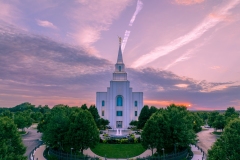 Kansas City Paradisiacal Glory