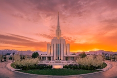 Oquirrh Mountain Blossoms Sunset