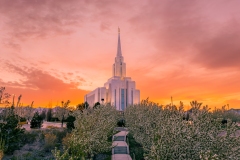 Oquirrh Mountain Blossoms Sunset