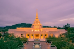 Phoenix Cloudy Evening Closeup