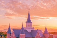 Provo City Center Fall Colors Portrait
