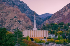 Provo Fall Colors Sunrise Closeup