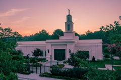 Raleigh Tropical Sunrise