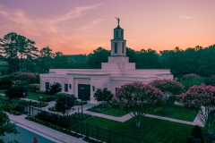 Raleigh Spring Sunrise