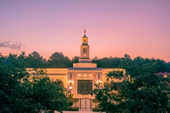 Raleigh Sunrise Closeup