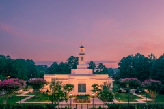 Raleigh Profile Sunrise
