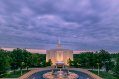 St Louis Paradisiacal Glory