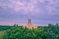 St Louis Temple Rising Above the Trees
