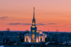 Twin Falls Spring Closeup Sunset