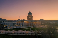 Utah Cherry Blossoms Golden Sunrise