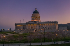 Utah Capitol Cherry Blossoms at Dawn