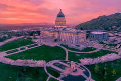 Utah Capitol Pastel Sunset and Cherry Blossoms