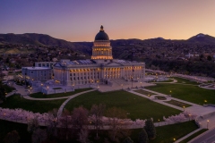 Utah Capitol Cherry Blossoms Sunrise