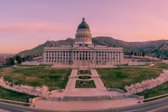 Utah Capitol Cherry Blossoms Sunrise Panorama