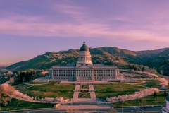 Utah Capitol Cherry Blossoms Sunrise