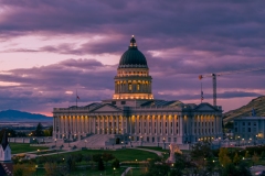 Utah State Capitol Fall Colors Closeup